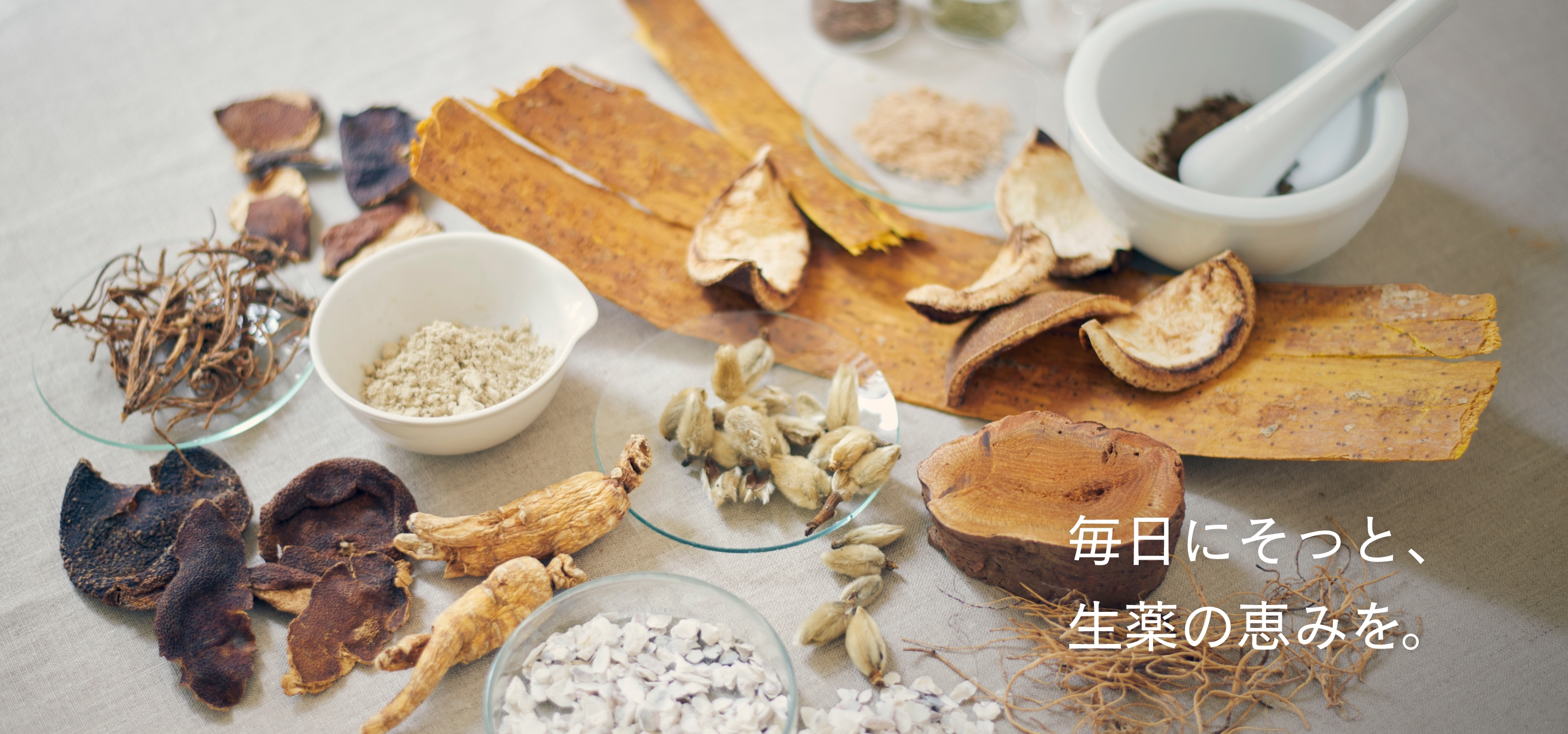 毎日にそっと、生薬の恵みを。